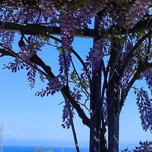 https://casa-del-poggio-barone-limone.sicilyhotelsitaly.net